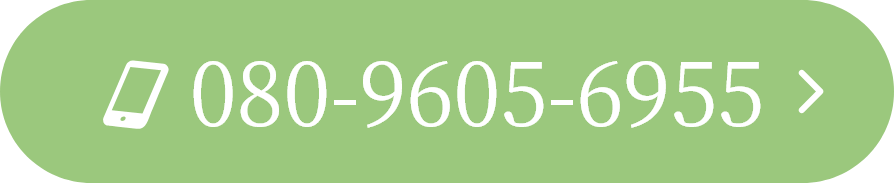 080-9605-6955